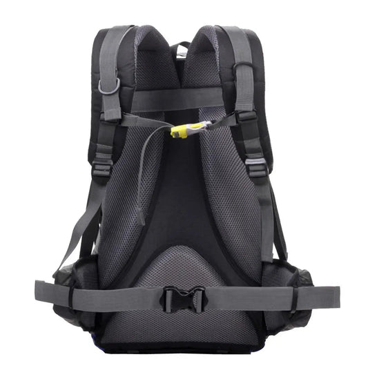 Borsa – 2