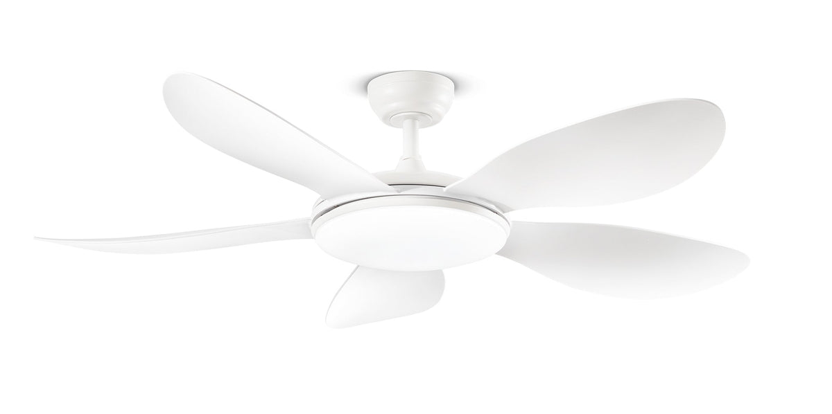 Knot Nordi - Ventilatore da Soffitto con Luce Integrata