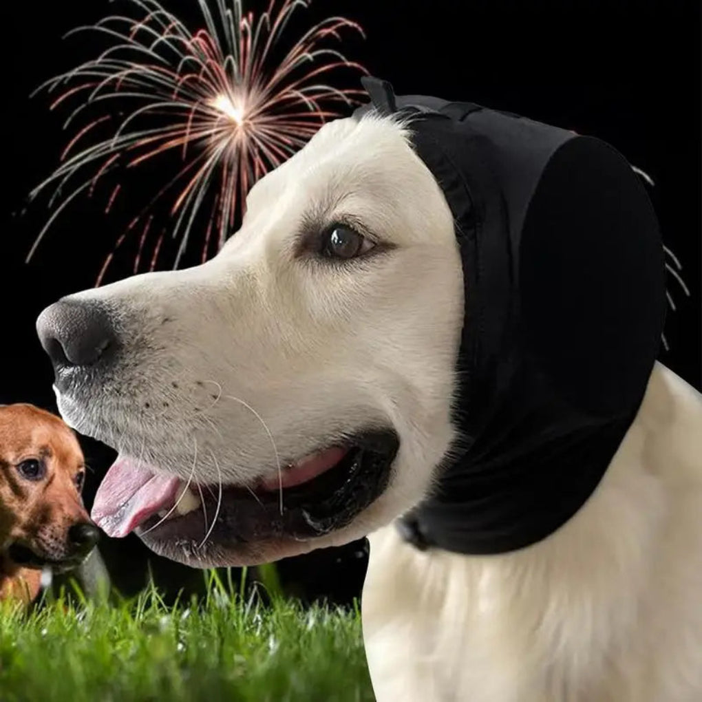 Articoli per animali