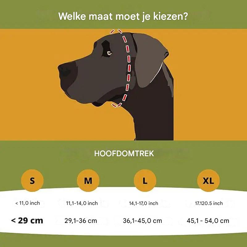 Articoli per animali