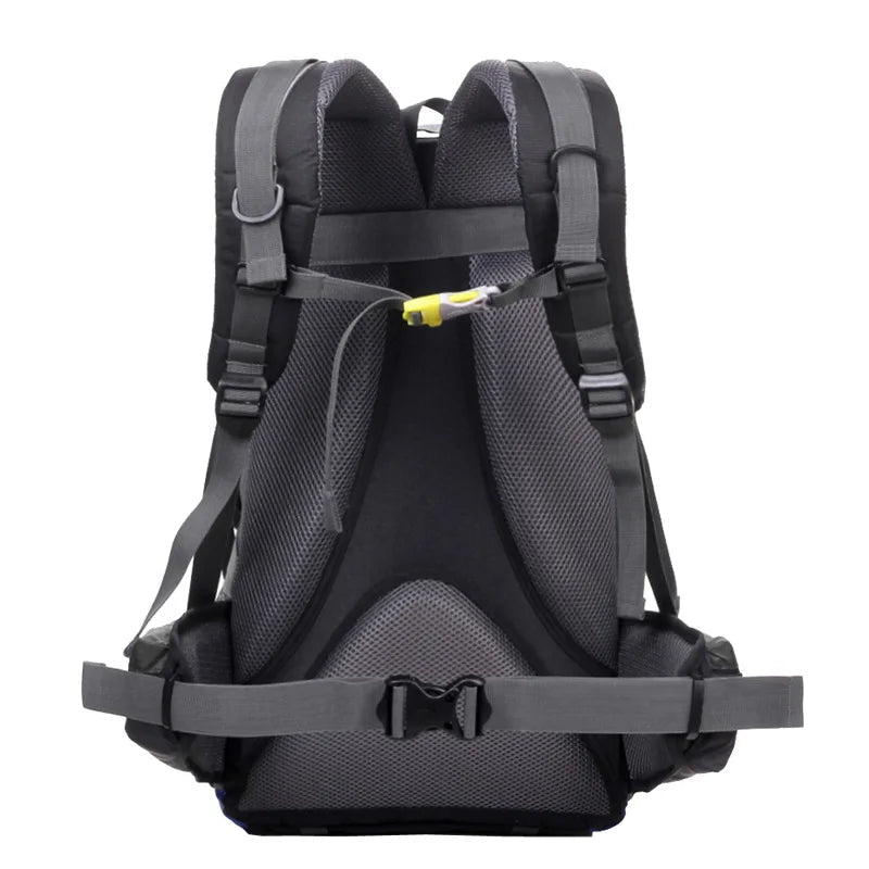 Borsa – 2