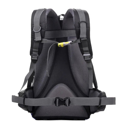 Borsa – 2