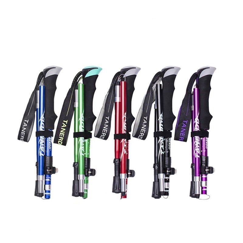 Campeggio – 4