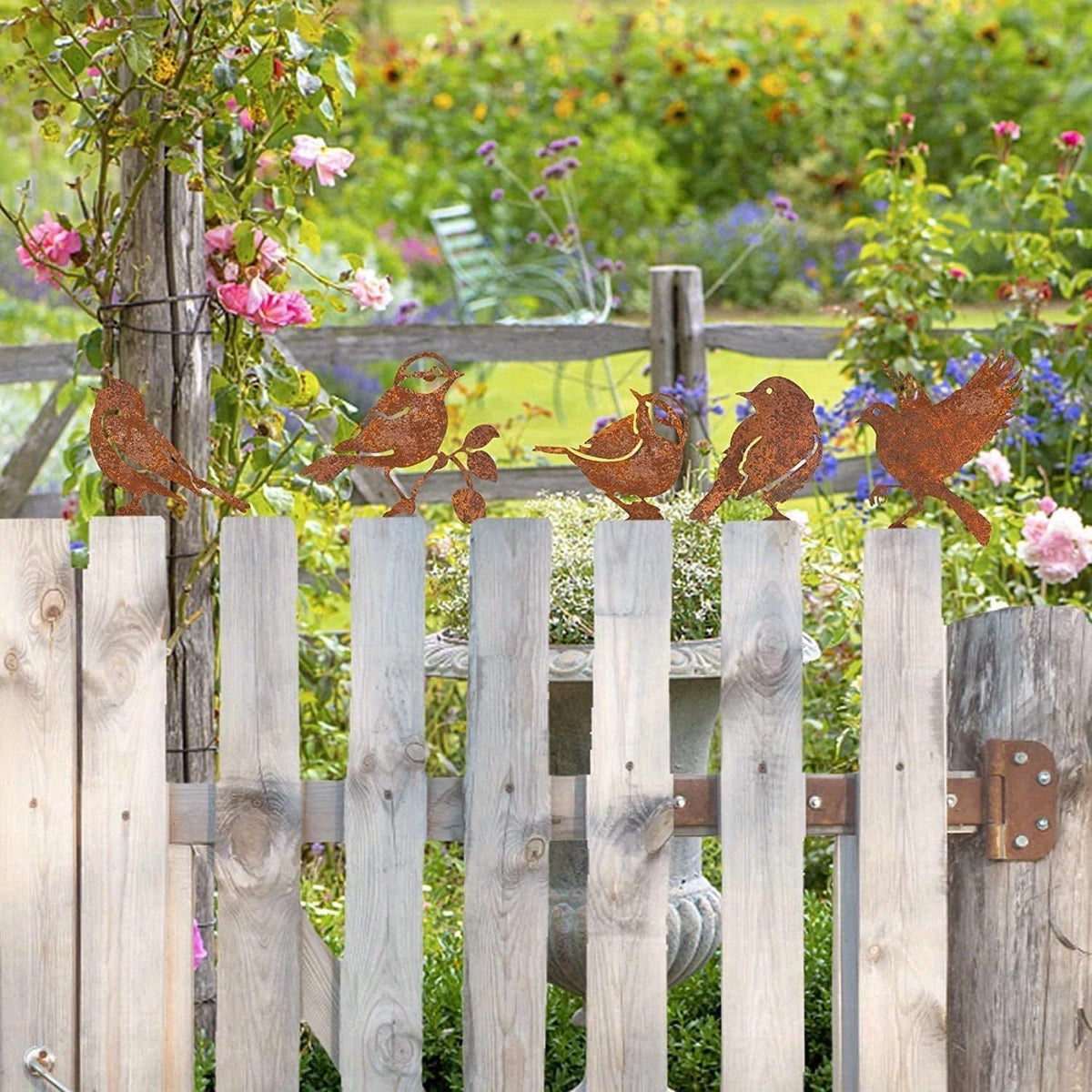Giardino e outdoor – 5