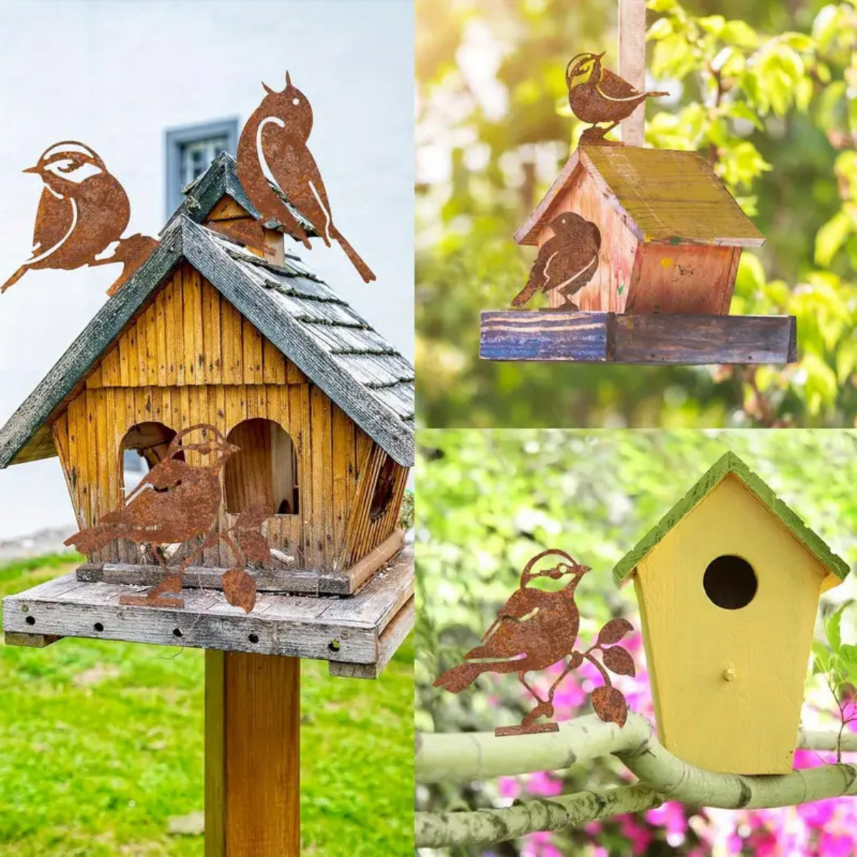 Giardino e outdoor