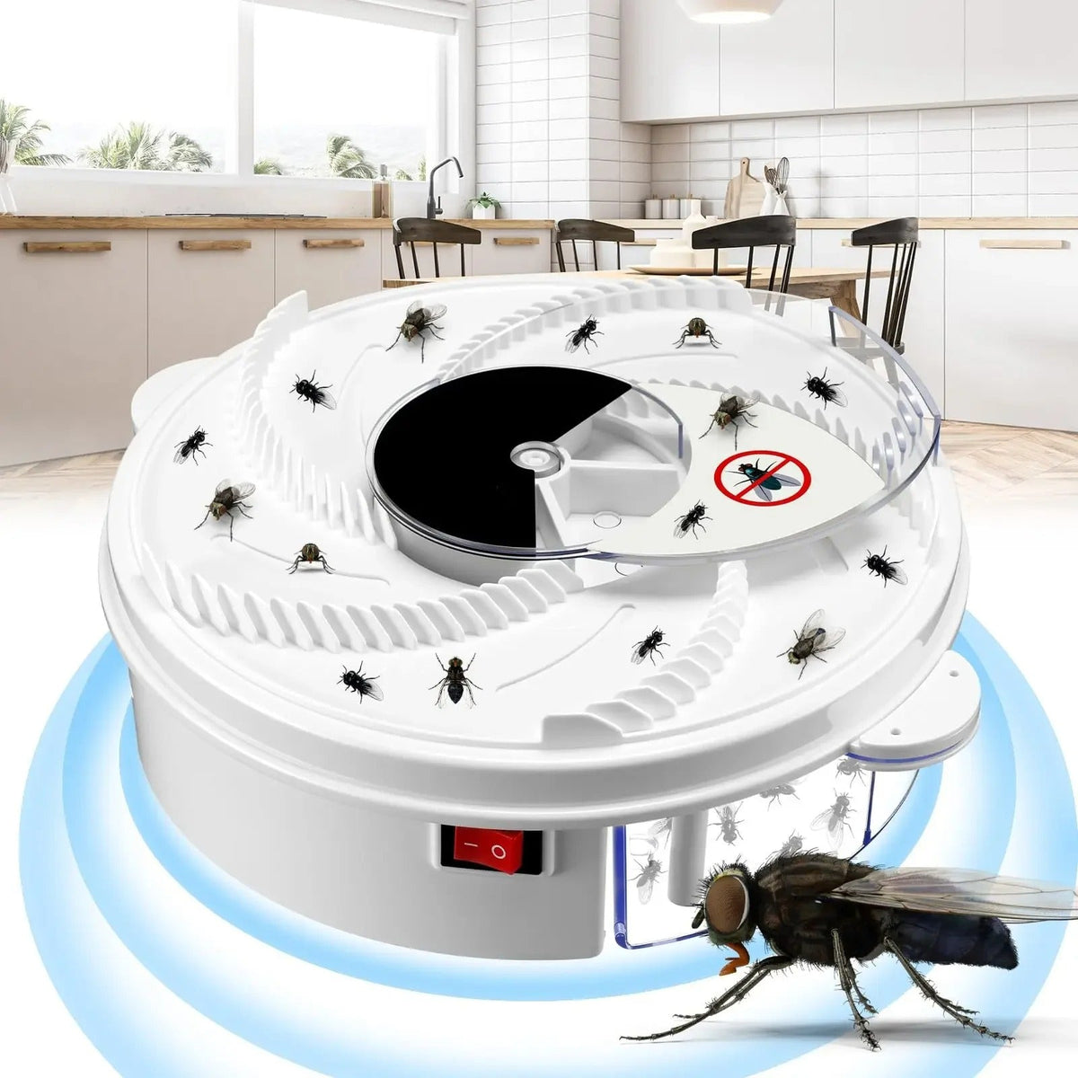 Giardino e outdoor – 7