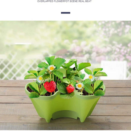 Giardino e outdoor – 10