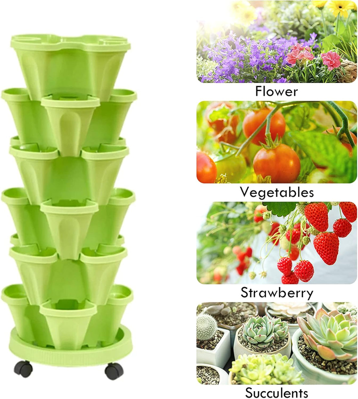 Giardino e outdoor – 3