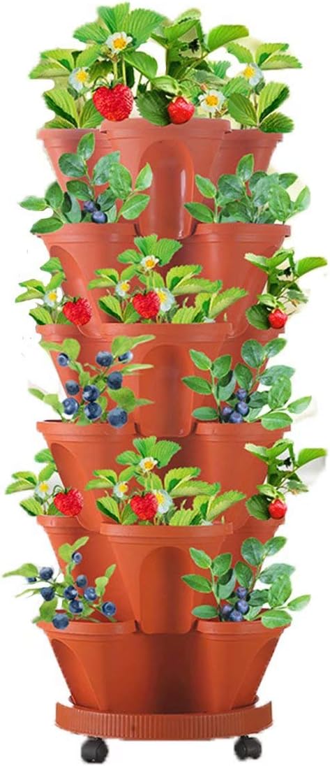 Giardino e outdoor – 5