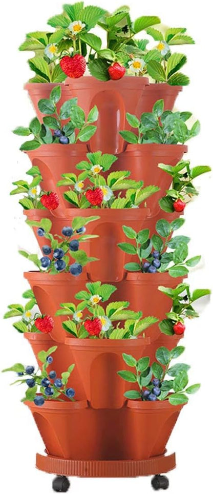 Giardino e outdoor – 5