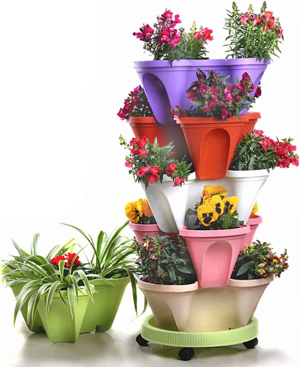 Giardino e outdoor – 7