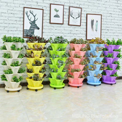 Giardino e outdoor