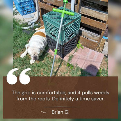 Utensili da giardino – 7